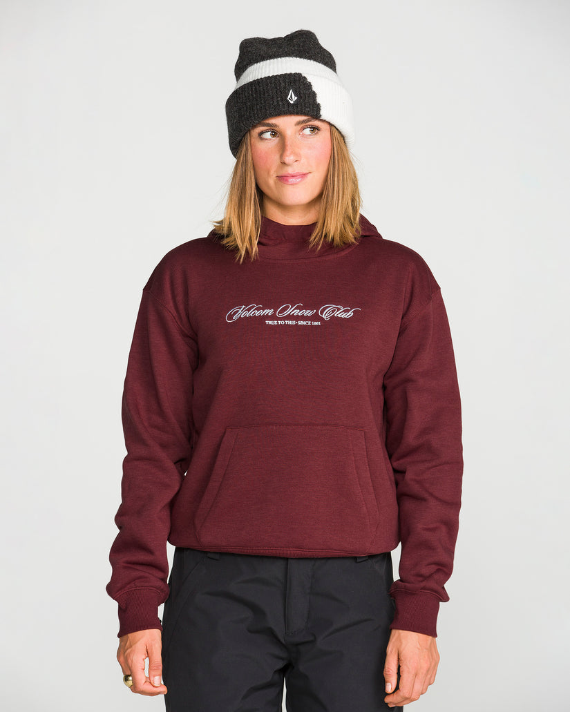 Sweat à capuche Alpine All Day - Pinot